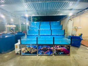 tại sao nên sử dụng hồ hải sản