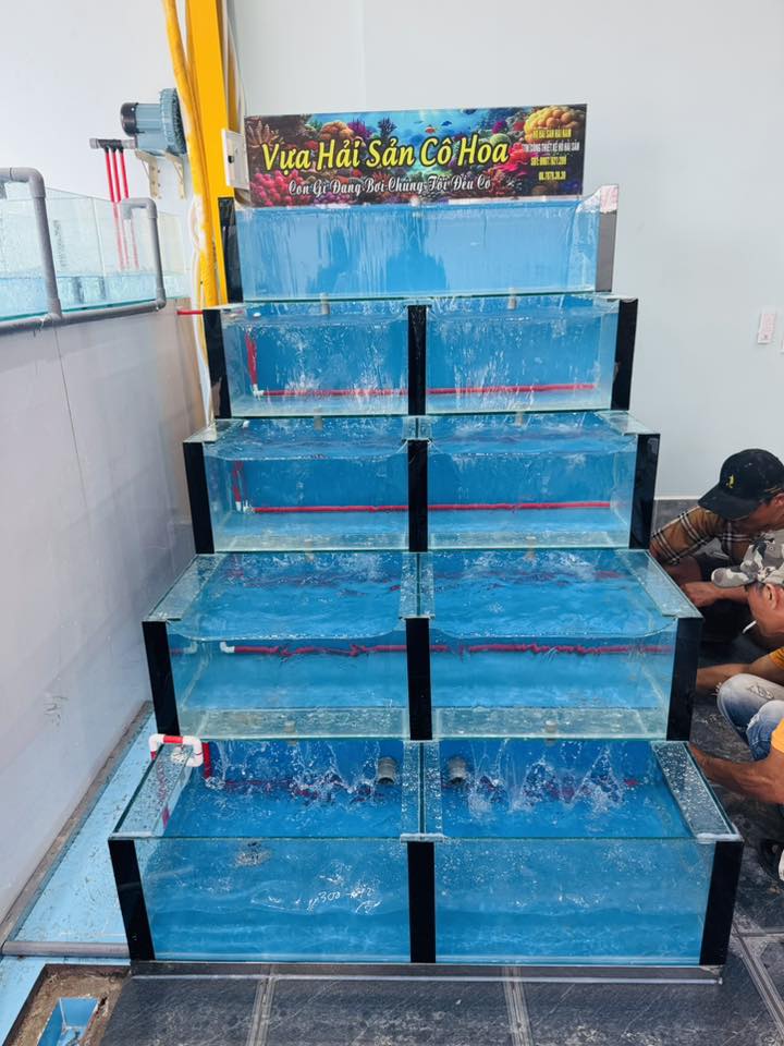 hồ hải sản anh phong vũng tàu